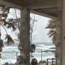 하이월드 | 제주 여행] 애월에서 만난 최고의 카페 ‘해지개’ (내돈내산후기)