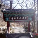 새날목장 | 연화산. 푸른솔향이 묻어나는 옥천사