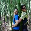 대숲속으로 이미지