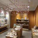 포포타운 이미지