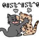 심쿵하냥 이미지