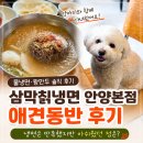 안양유원지 삼막칡냉면 안양본점 애견동반 후기 냉면은 만족했지만 아쉬웠던 점