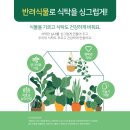 도시부엌 이미지
