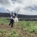 별빛하우스 이미지