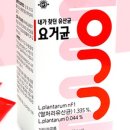 주식회사 요니네