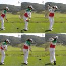 럭키 골프 클럽 이미지