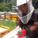 꿀벌자동차공업사 이미지