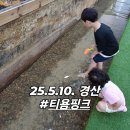 경북카닥터 | 경산 현지인 키즈놀이방카페 추천 티욤핑크 남하점 주차 가격 오픈이벤트 티욤핑크 남하점