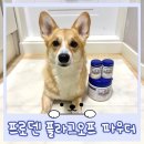 파트너펫 | 두번째 네이버 펫 바우처 앰버서더 활동 후기 플라그오프 파우더