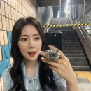 티아라펫 | 크리드제이 웨딩드레스투어 꿀팁방출 솔직후기