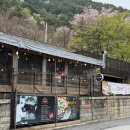 수목원약수터 | 봉화 오전약수터, 백두대간수목원 근처 맛집 ‘봉화객주 화덕피자’ 후기