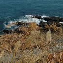 흙의 살들(시비) 이미지