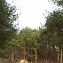 소나무황토집 이미지