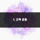 근력스트레칭(1) 이미지