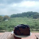 인형천국 투 이미지