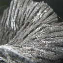 진천참숯 이미지