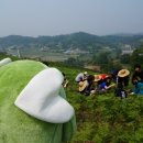 거북이마을 이미지