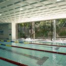 넘버원수영이야기 이미지