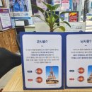 탑동초교 | K비젼안경 탑동초교점, 나의 완벽한 안경 찾기 여행이었어요!