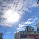 라온아트미술교습소 이미지