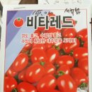 경기종묘농자재 이미지