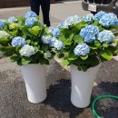 거시기농원 이미지