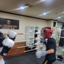 스파르타복싱체육관 이미지