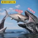 중국 아니 세계차시장을 한눈에... 이미지
