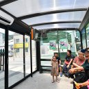 택시승강장 옆 이미지