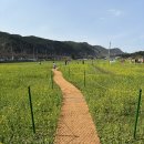 삼척농협 하나로마트사업소 네이버블로그