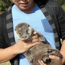 방천1리 이미지