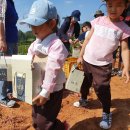 신의초등학교 병설유치원 이미지