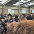 강원특별자치도축산기술연구소 이미지