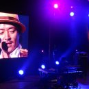 감자콘서트 이미지