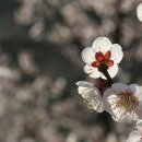종이쟁이 이미지