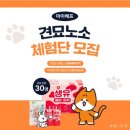 마치 | 강아지펫밀크추천, 마이베프 생유베리마치 체험단 당첨후기♡