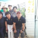공주농장 네이버블로그