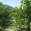 대심농장 이미지