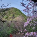 9정맥/호남13(토끼재~노고치) 57 km.. 호남 그 길은 사랑이어라.. 이미지