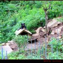 잎새바람 이미지