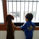 콩양