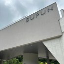 스위스가구 | 대구 가창 대형 베이커리 카페 부푼(BUPUN) 빵스위스, 커피 내돈내산 후기