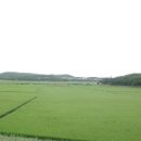 말운들의 힌죽(흰죽) 이미지