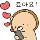 진주킹덤주짓수 이미지