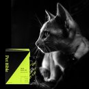 펫바이블 이미지