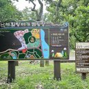 이동면바래길 탐방안내센터 이미지