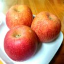 자운농장 | 청송사과 자운농장