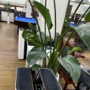 씨티당구장 이미지