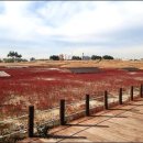 씨사이드 이미지