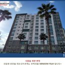 수피아제주